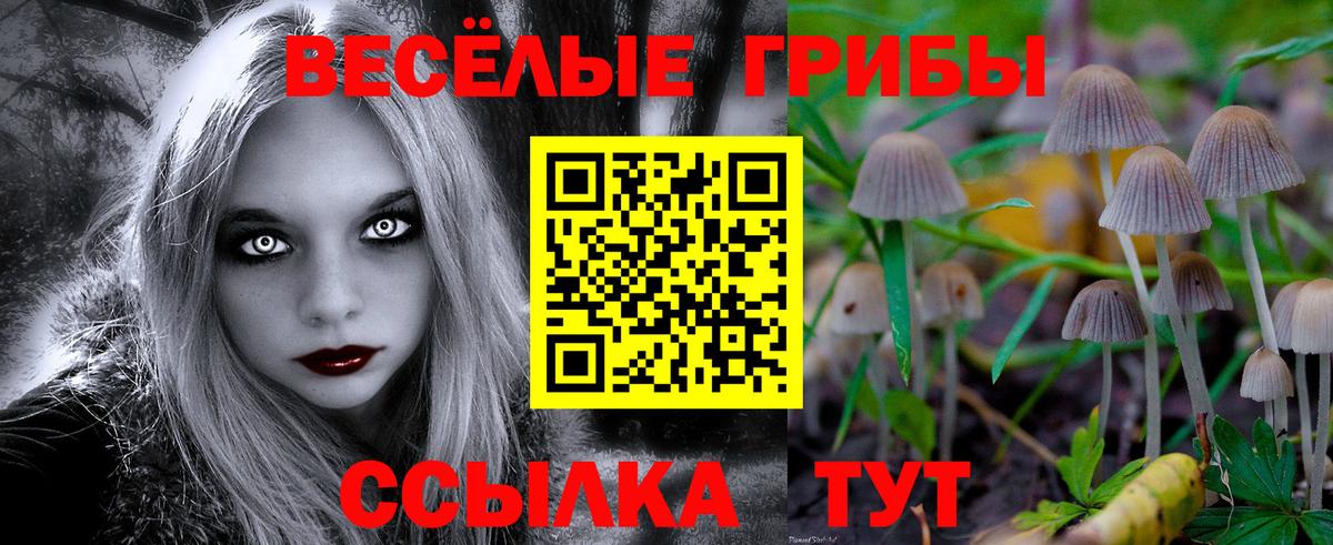 Галлюциногенные грибы мухоморы Сегежа
