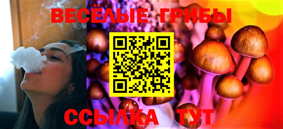 Сегежа  Псилоцибиновые грибы ЛСД  Вход с VPN 